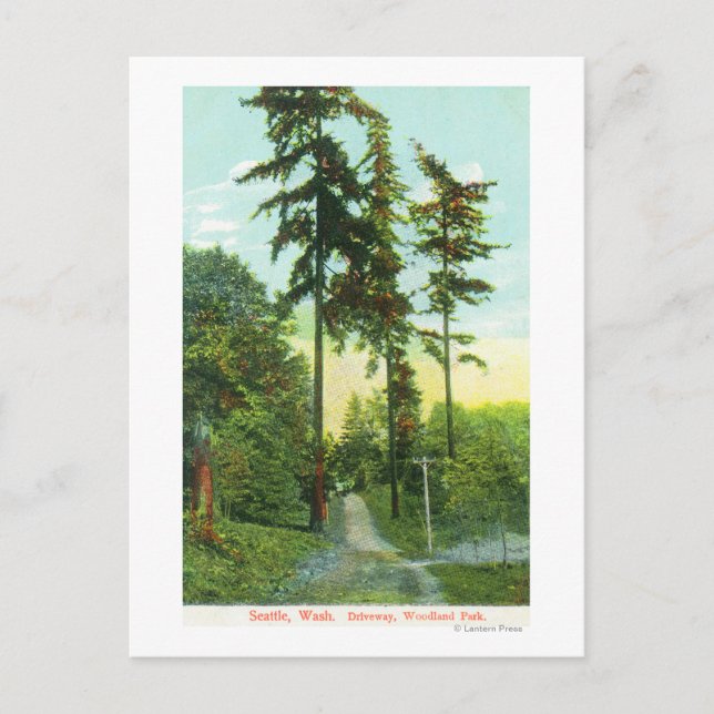 Carte Postale Vue de l'allée au parc Woodland (Devant)