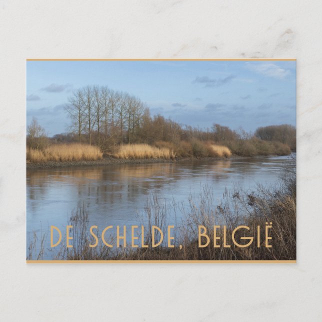 Carte Postale Vue de l'Escaut, Dendermonde, Belgique (Devant)