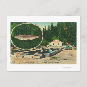 Carte Postale Vue de l'Hatchery de TruitesGasquet, CA