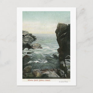 Carte Postale Vue de l'île Bakers, Gulch de baleines