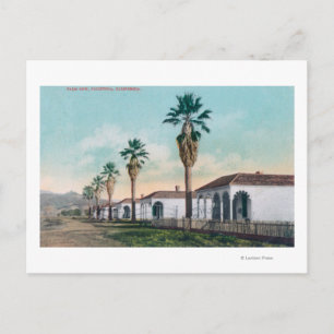 Carte Postale Vue de Palm RowCalistoga, CA