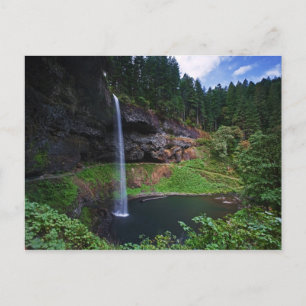 Carte Postale Vue de South Falls dans Silver Falls State Park