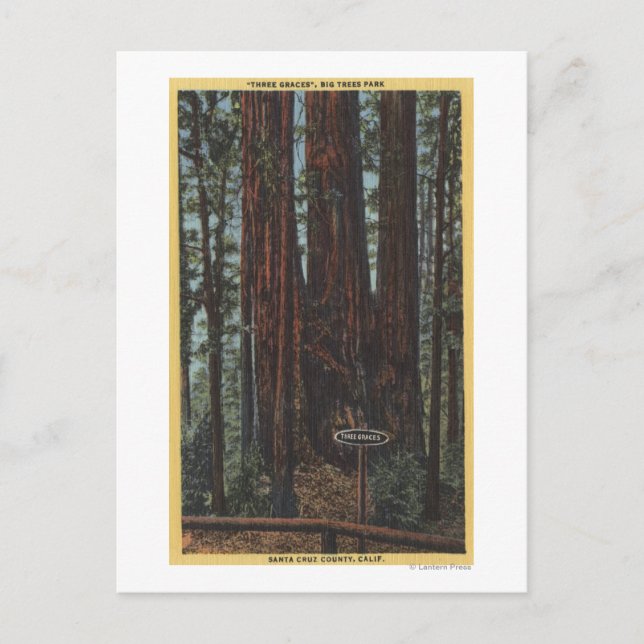 Carte Postale Vue de "Trois Graces" sur Big Trees Park (Devant)