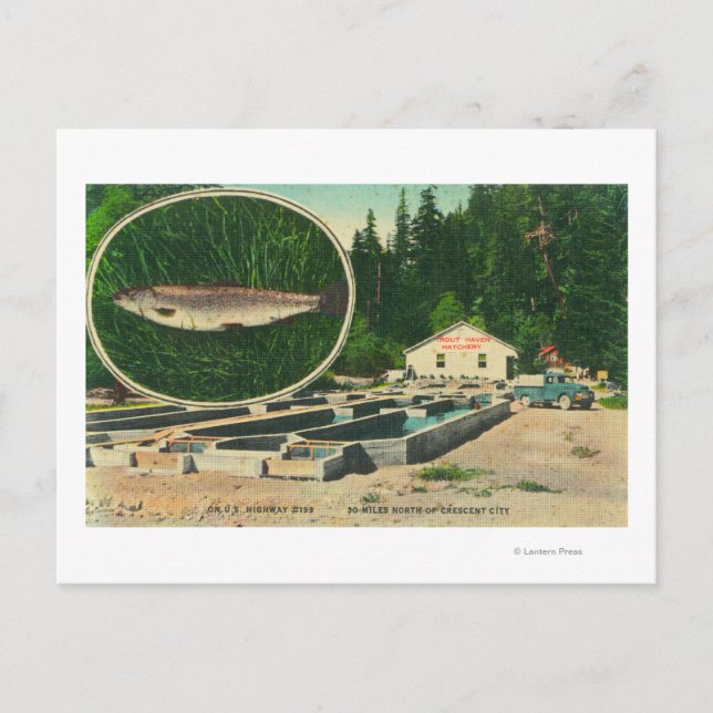 Carte Postale Vue de Trout Haven HatcheryGasquet, CA (Devant)