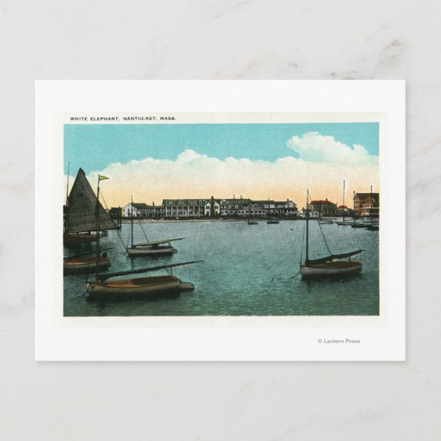 Carte Postale Vue de White Elephant (Devant)