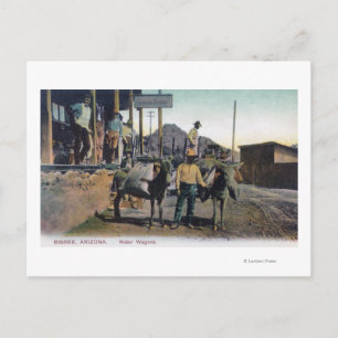 Carte Postale Vue des ânes transportant de l'eauBisbee, AZ
