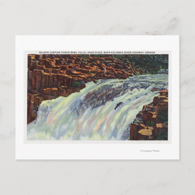 Carte Postale Vue des chutes du bol de pompage du Saumon (Devant)