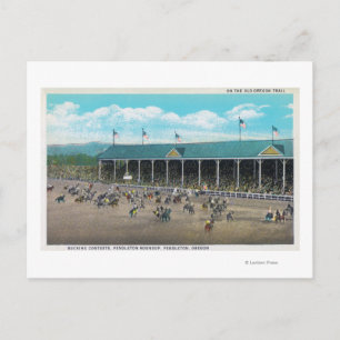 Carte Postale Vue des concours de Bucking