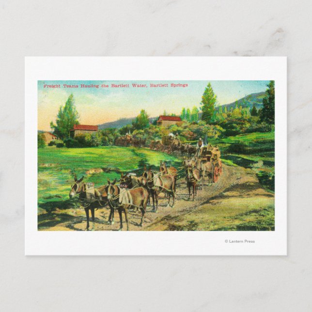 Carte Postale Vue des équipes de transport Hauling Bartlett Wate (Devant)