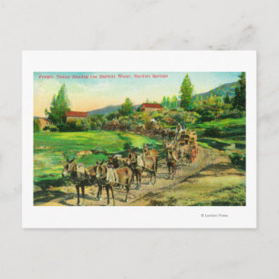 Carte Postale Vue des équipes de transport Hauling Bartlett Wate