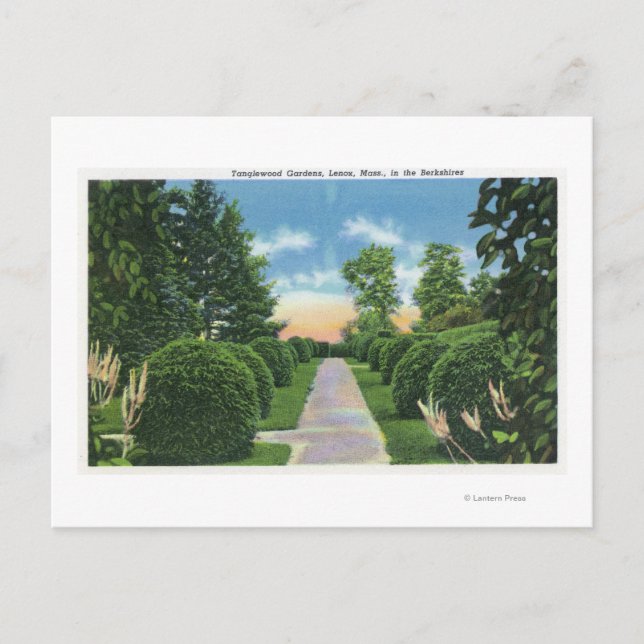 Carte Postale Vue des jardins de Tanglewood # 2 (Devant)