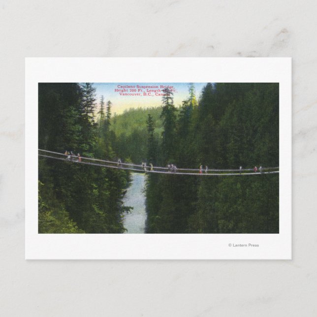 Carte Postale Vue du pont de suspension Capilano (Devant)