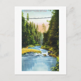 Carte Postale Vue du pont de suspension Capilano n° 2