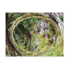 Vue du ruisseau.....