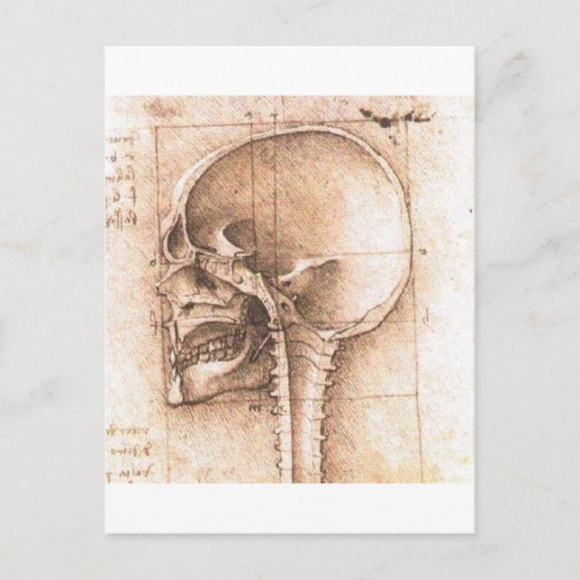 Carte Postale Vue d'un crâne par Leonardo da Vinci C. 1489 (Devant)