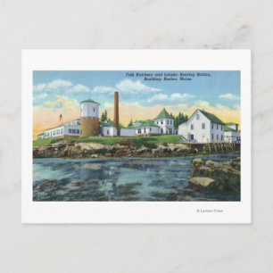 Carte Postale Vue d'une écloserie de poisson, élevage du homard