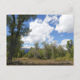 Carte Postale Vue ensoleillée de la montagne Grand Teton