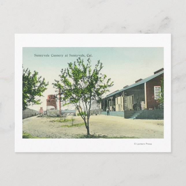 Carte Postale Vue extérieure de la cannerie Sunnyvale (Devant)