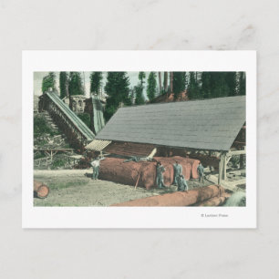 Carte Postale Vue extérieure du moulin de Benton à Redding, CA