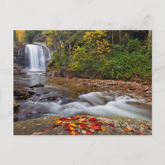 Carte Postale Vue Glass Falls Pisgah Forêt nationale (Devant)