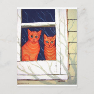 Carte Postale Vue intérieure - Chats Tabby Orange