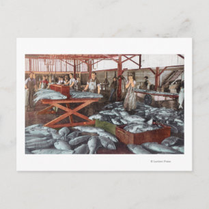 Carte Postale Vue intérieure d'une cannerie Saumon