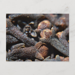 Carte Postale Vue macro détaillée de l'herbe de Cloves