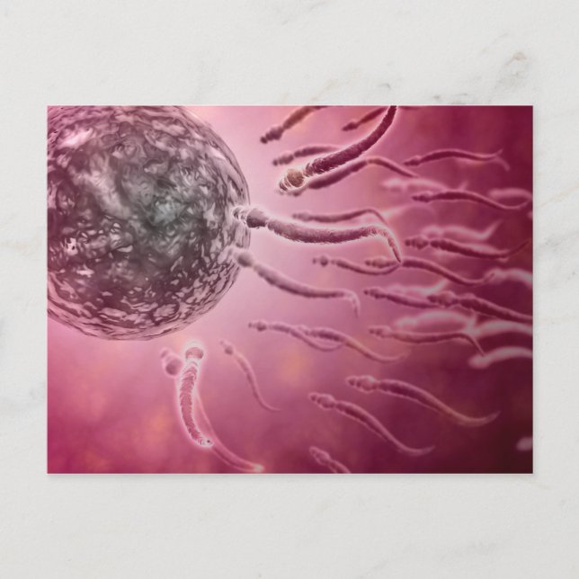 Carte Postale Vue Microscopique De La Nage De Sperme Vers L'Oeuf (Devant)