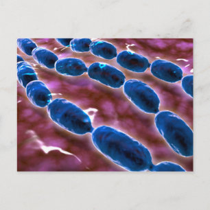 Carte Postale Vue Microscopique De La Pneumonie Bactérienne 1