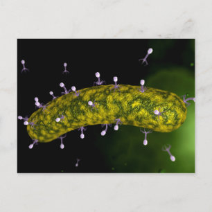 Carte Postale Vue Microscopique De L'Attaque Aux Bactériophages
