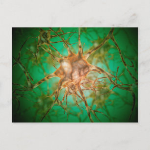 Carte Postale Vue Microscopique De Plusieurs Cellules Nerveuses 