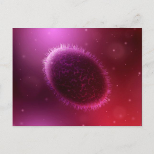 Carte Postale Vue Microscopique De Samllpox 1 (Devant)