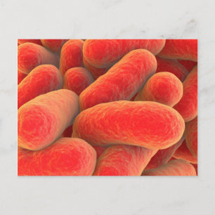 Carte Postale Vue Microscopique Des Bactéries 4