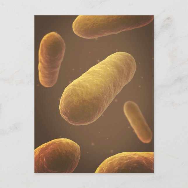 Carte Postale Vue Microscopique Des Bactéries 5 (Devant)