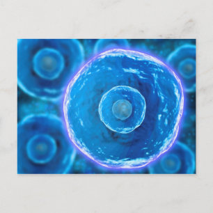 Carte Postale Vue Microscopique Des Cellules B Humaines 1