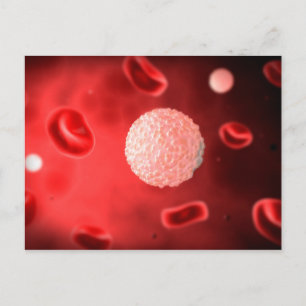 Carte Postale Vue Microscopique Des Cellules De Sang Blanc
