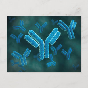 Carte Postale Vue Microscopique Des Molécules Immunoglobulines G