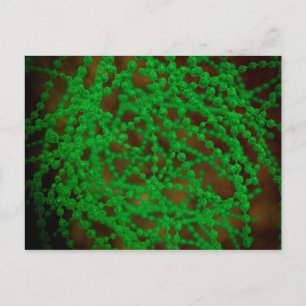 Carte Postale Vue Microscopique Du Bactérie Cocci