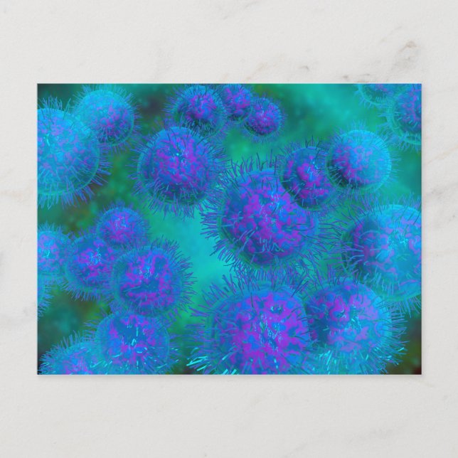 Carte Postale Vue Microscopique Du Diplococcus Bacterium (Devant)