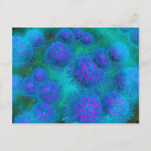 Carte Postale Vue Microscopique Du Diplococcus Bacterium