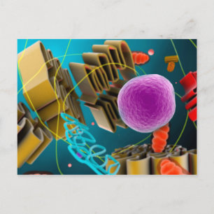 Carte Postale Vue microscopique du noyau animal de cellules