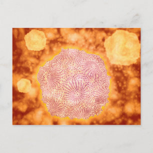 Carte Postale Vue Microscopique Du Parvovirus Canin 1