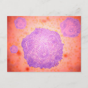 Carte Postale Vue Microscopique Du Parvovirus Canin 2