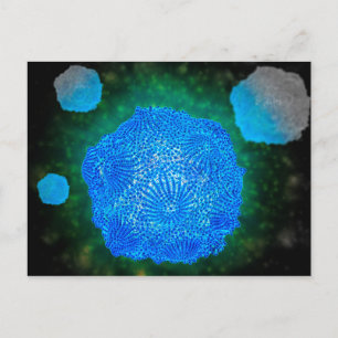 Carte Postale Vue Microscopique Du Parvovirus Canin 3