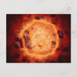 Carte Postale Vue Microscopique Du Parvovirus Canin 4