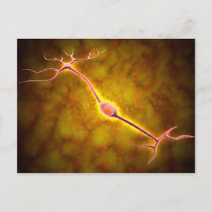 Carte Postale Vue Microscopique D'Un Neuron Bipolaire