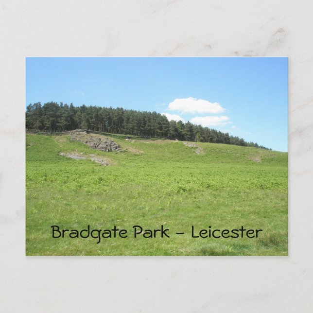 Carte Postale Vue panoramique Bradgate Park (Devant)