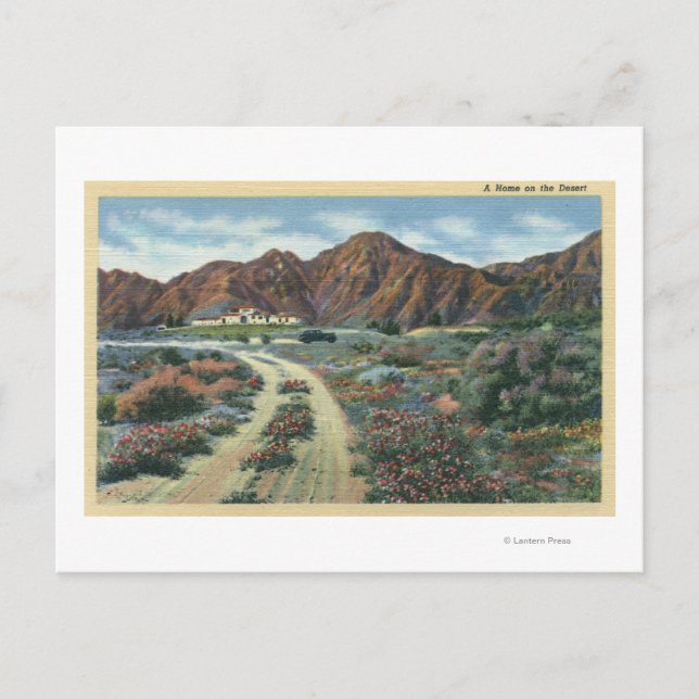 Carte Postale Vue panoramique du désert de Californie (Devant)