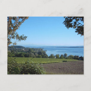 Carte Postale Vue panoramique sur le lac de Constance
