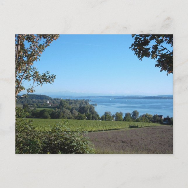 Carte Postale Vue panoramique sur le lac de Constance (Devant)
